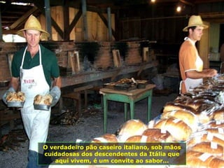 O verdadeiro pão caseiro italiano, sob mãos cuidadosas dos descendentes da Itália que aqui vivem, é um convite ao sabor... 