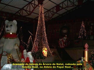 Gramado da beleza da Árvore de Natal, rodeada pela  família Noel, na Aldeia do Papai Noel... 