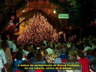 A beleza da apresentação da Árvore Cantante, na rua coberta, centro de Gramado... 