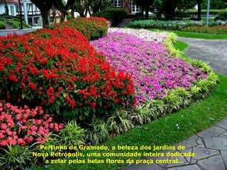 Pertinho de Gramado, a beleza dos jardins de  Nova Petrópolis, uma comunidade inteira dedicada a zelar pelas belas flores da praça central... 