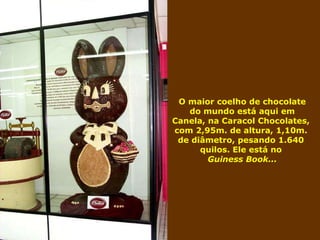 O maior coelho de chocolate do mundo está aqui em Canela, na Caracol Chocolates,  com 2,95m. de altura, 1,10m.  de diâmetro, pesando 1.640  quilos. Ele está no  Guiness Book... 