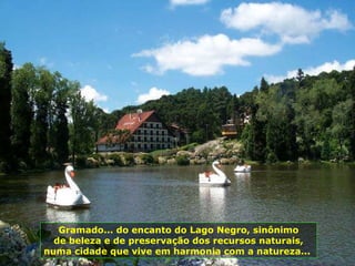 Gramado... do encanto do Lago Negro, sinônimo de beleza e de preservação dos recursos naturais, numa cidade que vive em harmonia com a natureza...  