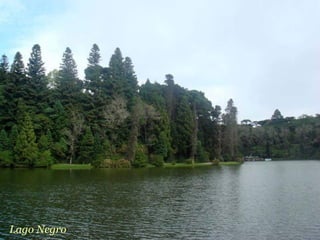 Lago Negro