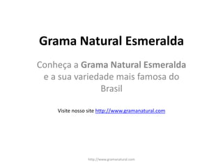 Grama Natural Esmeralda
Conheça a Grama Natural Esmeralda
e a sua variedade mais famosa do
Brasil
http://www.gramanatural.com
Visite nosso site http://www.gramanatural.com
 
