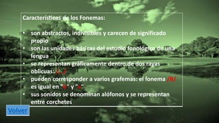 Características de los Fonemas: 
• son abstractos, indivisibles y carecen de significado 
propio 
• son las unidades básicas del estudio fonológico de una 
lengua 
• se representan gráficamente dentro de dos rayas 
oblicuas: /.../ 
• pueden corresponder a varios grafemas: el fonema /B/ 
es igual en "b" y "v" 
• sus sonidos se denominan alófonos y se representan 
entre corchetes 
Volver 
 