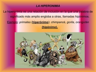 LA HIPERONIMIA
La hiperonimia es una relación de inclusión en la que una palabra de
     significado más amplio engloba a otras, llamadas hipónimos.
  Ejemplo: primates (hiperónimo): chimpancé, gorila, orangután
                             (hipónimo).
 