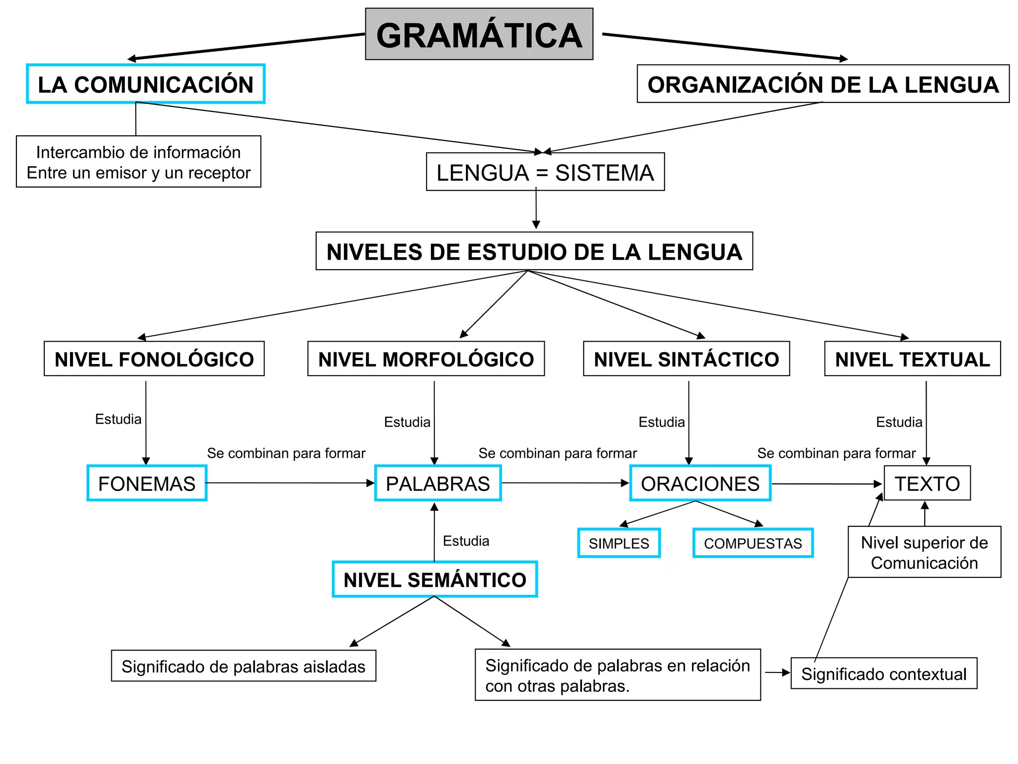 GRAMÁTICA LA COMUNICACIÓN ORGANIZACIÓN DE LA LENGUA NIVELES DE ESTUDIO DE LA LENGUA NIVEL FONOLÓGICO NIVEL MORFOLÓGICO NIVEL SINTÁCTICO NIVEL TEXTUAL Estudia FONEMAS PALABRAS ORACIONES TEXTO Se combinan para formar Se combinan para formar Se combinan para formar LENGUA = SISTEMA NIVEL SEMÁNTICO Significado de palabras aisladas Significado de palabras en relación con otras palabras. Significado contextual Intercambio de información Entre un emisor y un receptor SIMPLES COMPUESTAS Nivel superior de Comunicación Estudia Estudia Estudia Estudia 