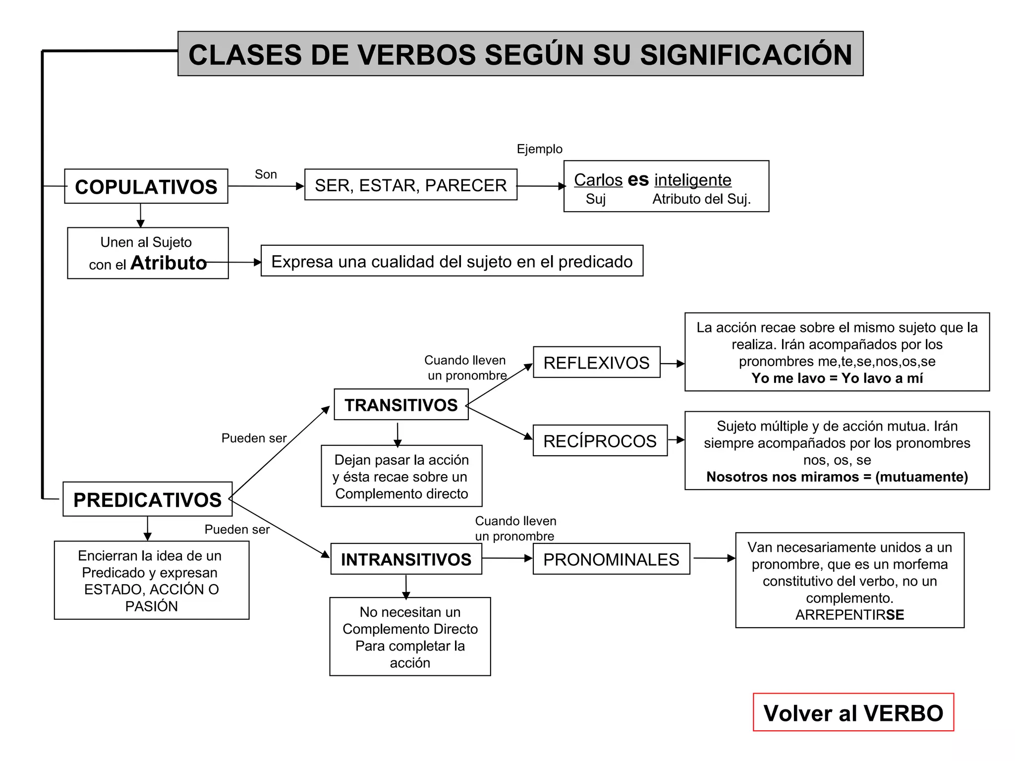 CLASES DE VERBOS SEGÚN SU SIGNIFICACIÓN COPULATIVOS PREDICATIVOS Volver al VERBO TRANSITIVOS INTRANSITIVOS Encierran la idea de un  Predicado y expresan  ESTADO, ACCIÓN O PASIÓN Unen al Sujeto  con el  Atributo SER, ESTAR, PARECER Dejan pasar la acción y ésta recae sobre un  Complemento directo No necesitan un Complemento Directo Para completar la acción Expresa una cualidad del sujeto en el predicado REFLEXIVOS RECÍPROCOS PRONOMINALES Van necesariamente unidos a un pronombre, que es un morfema constitutivo del verbo, no un complemento. ARREPENTIR SE La acción recae sobre el mismo sujeto que la realiza. Irán acompañados por los pronombres me,te,se,nos,os,se Yo me lavo = Yo lavo a mí Sujeto múltiple y de acción mutua. Irán siempre acompañados por los pronombres nos, os, se Nosotros nos miramos = (mutuamente) Son Cuando lleven un pronombre Cuando lleven  un pronombre Carlos   es   inteligente Suj  Atributo del Suj.  Ejemplo Pueden ser Pueden ser 