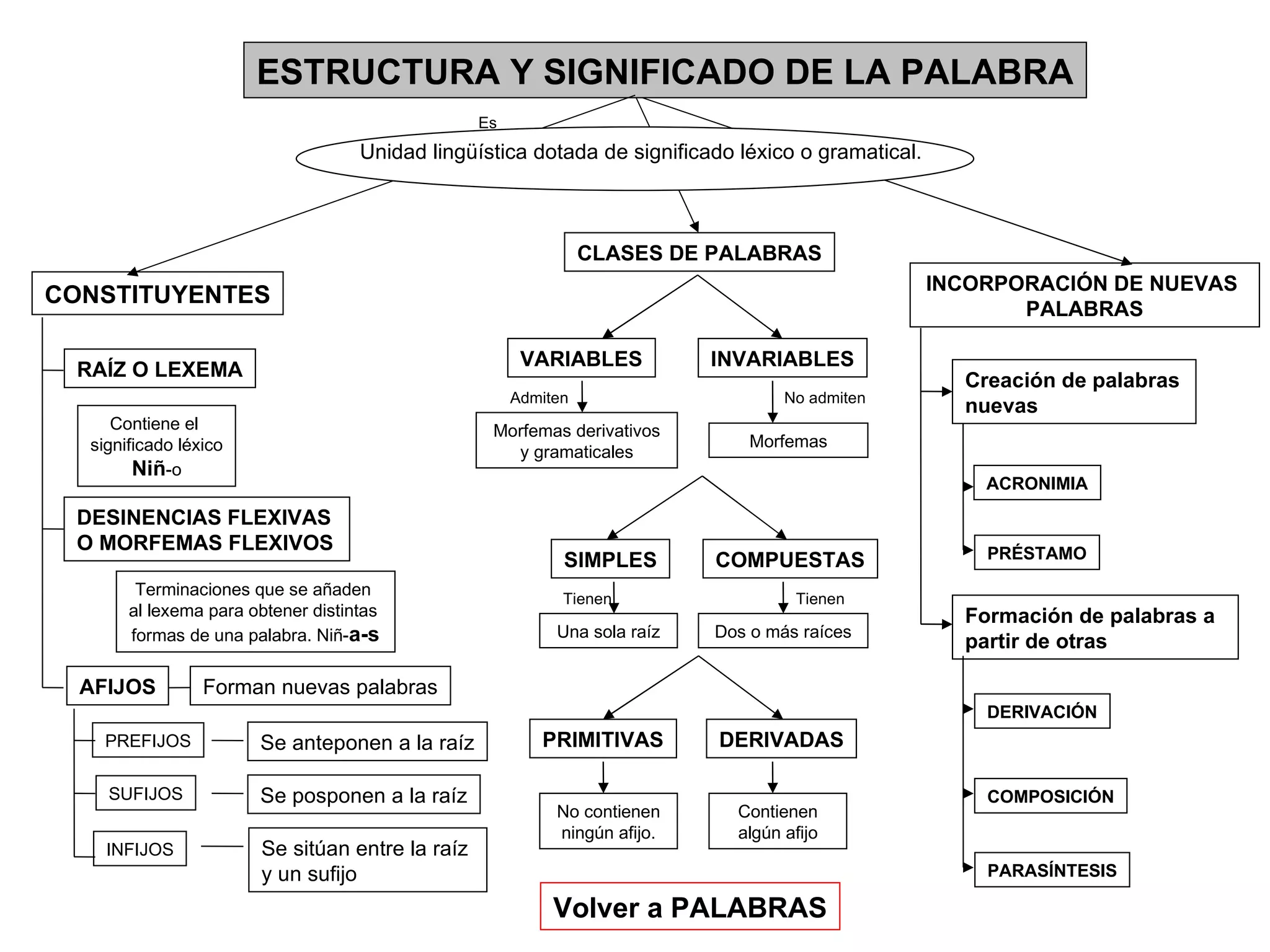 ESTRUCTURA Y SIGNIFICADO DE LA PALABRA Unidad lingüística dotada de significado léxico o gramatical. Es CONSTITUYENTES RAÍZ O LEXEMA Contiene el  significado léxico Niñ -o DESINENCIAS FLEXIVAS  O MORFEMAS FLEXIVOS Terminaciones que se añaden  al lexema para obtener distintas  formas de una palabra. Niñ- a-s AFIJOS PREFIJOS SUFIJOS INFIJOS Forman nuevas palabras Se anteponen a la raíz Se posponen a la raíz Se sitúan entre la raíz  y un sufijo CLASES DE PALABRAS VARIABLES INVARIABLES SIMPLES COMPUESTAS PRIMITIVAS DERIVADAS Morfemas derivativos y gramaticales Morfemas Admiten No admiten Una sola raíz Dos o más raíces Tienen Tienen No contienen ningún afijo. Contienen algún afijo INCORPORACIÓN DE NUEVAS  PALABRAS Creación de palabras  nuevas Formación de palabras a partir de otras ACRONIMIA PRÉSTAMO DERIVACIÓN COMPOSICIÓN PARASÍNTESIS Volver a PALABRAS 