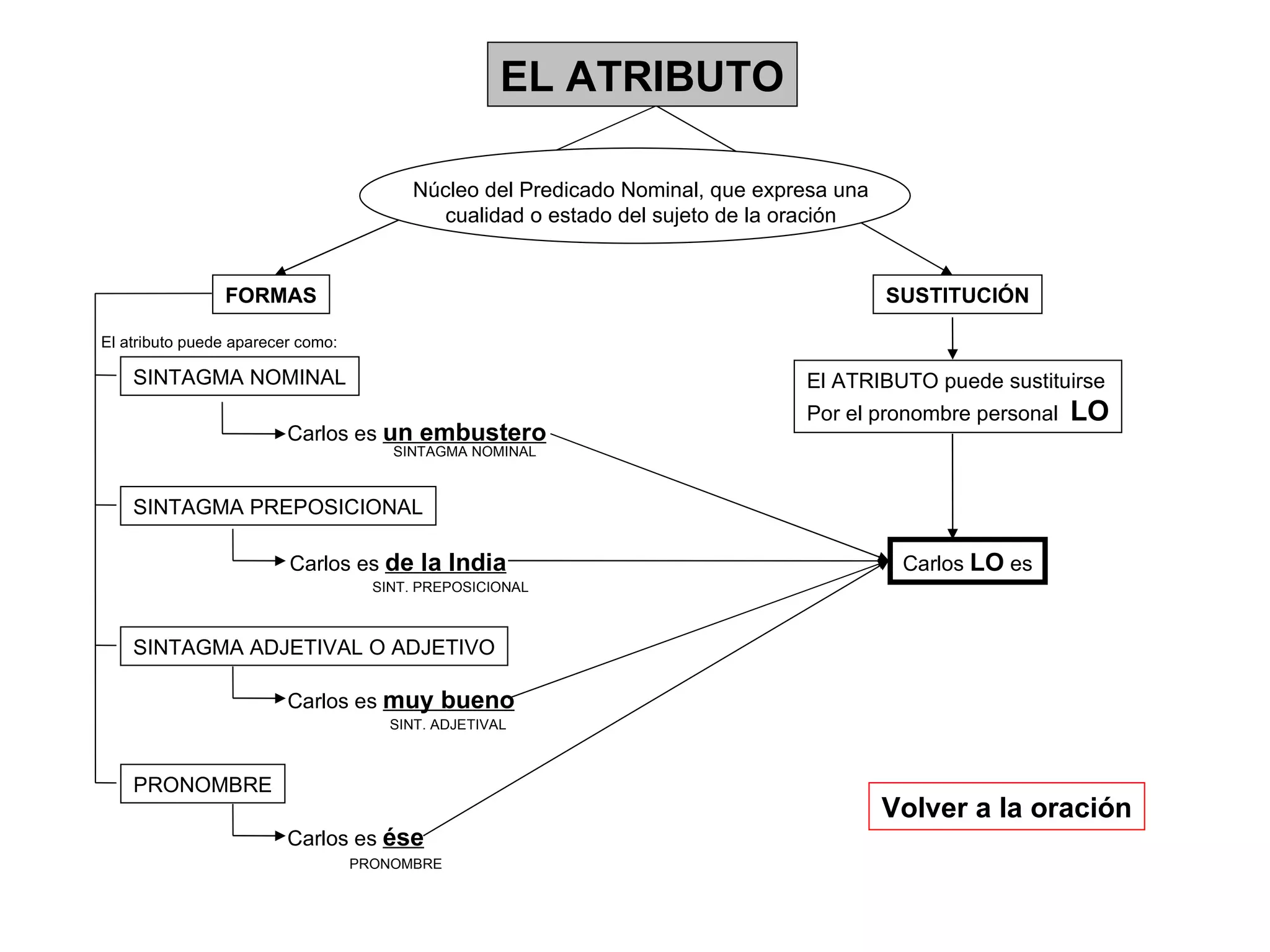 EL ATRIBUTO Núcleo del Predicado Nominal, que expresa una cualidad o estado del sujeto de la oración FORMAS SUSTITUCIÓN Volver a la oración SINTAGMA NOMINAL SINTAGMA PREPOSICIONAL SINTAGMA ADJETIVAL O ADJETIVO PRONOMBRE El atributo puede aparecer como: Carlos es  un embustero SINTAGMA NOMINAL Carlos es  de la India PRONOMBRE Carlos es  muy bueno Carlos es  ése SINT. ADJETIVAL SINT. PREPOSICIONAL El ATRIBUTO puede sustituirse Por el pronombre personal  LO Carlos  LO  es 
