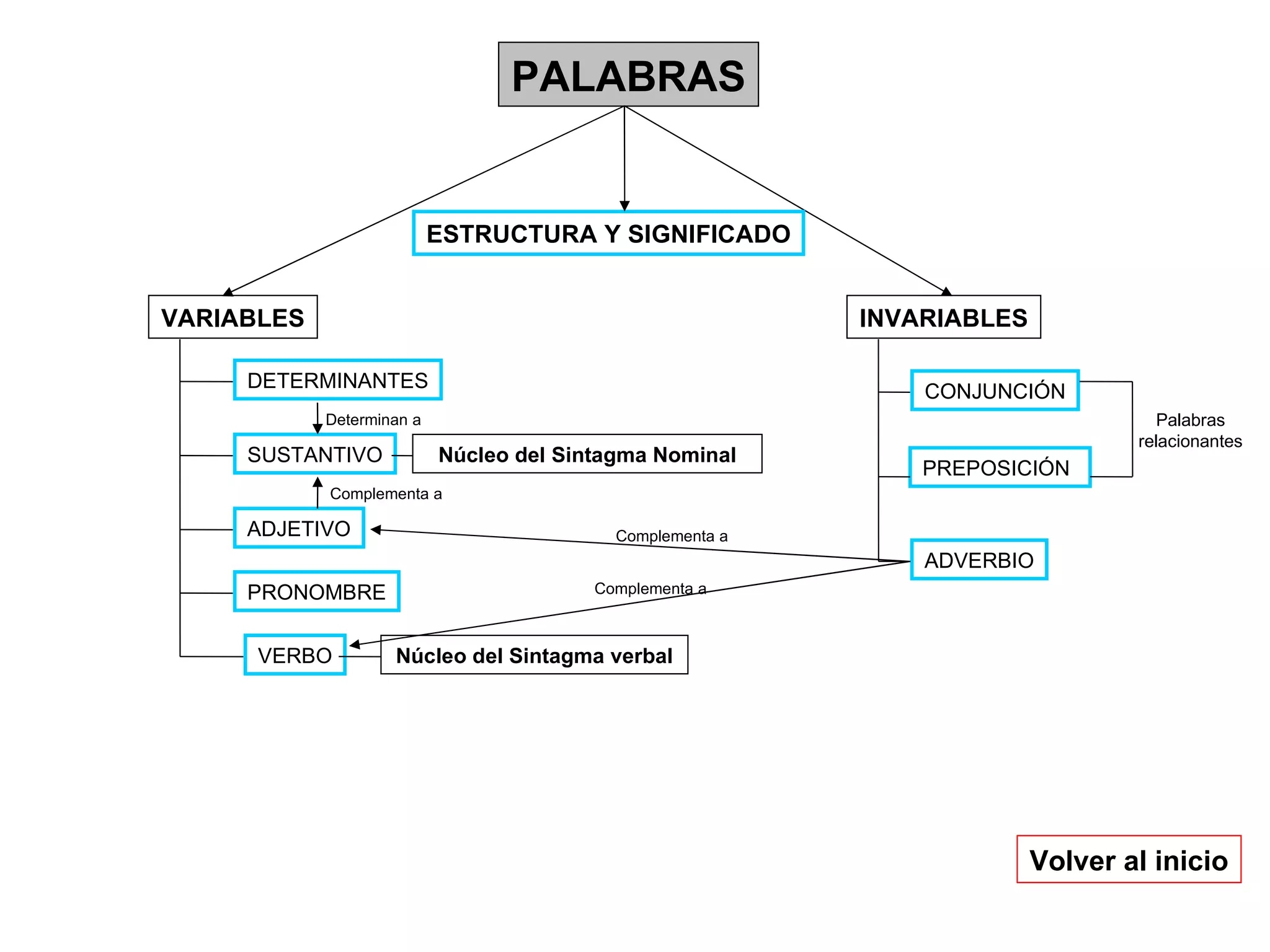 PALABRAS INVARIABLES VARIABLES DETERMINANTES SUSTANTIVO ADJETIVO VERBO PRONOMBRE CONJUNCIÓN ADVERBIO PREPOSICIÓN Núcleo del Sintagma Nominal Núcleo del Sintagma verbal Palabras relacionantes Complementa a Complementa a Volver al inicio Complementa a Determinan a ESTRUCTURA Y SIGNIFICADO 