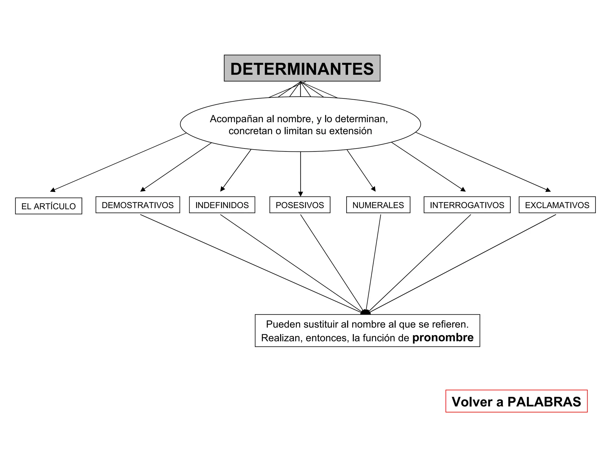 DETERMINANTES EL ARTÍCULO DEMOSTRATIVOS INDEFINIDOS POSESIVOS NUMERALES INTERROGATIVOS EXCLAMATIVOS Acompañan al nombre, y lo determinan,  concretan o limitan su extensión Volver a PALABRAS Pueden sustituir al nombre al que se refieren. Realizan, entonces, la función de  pronombre 