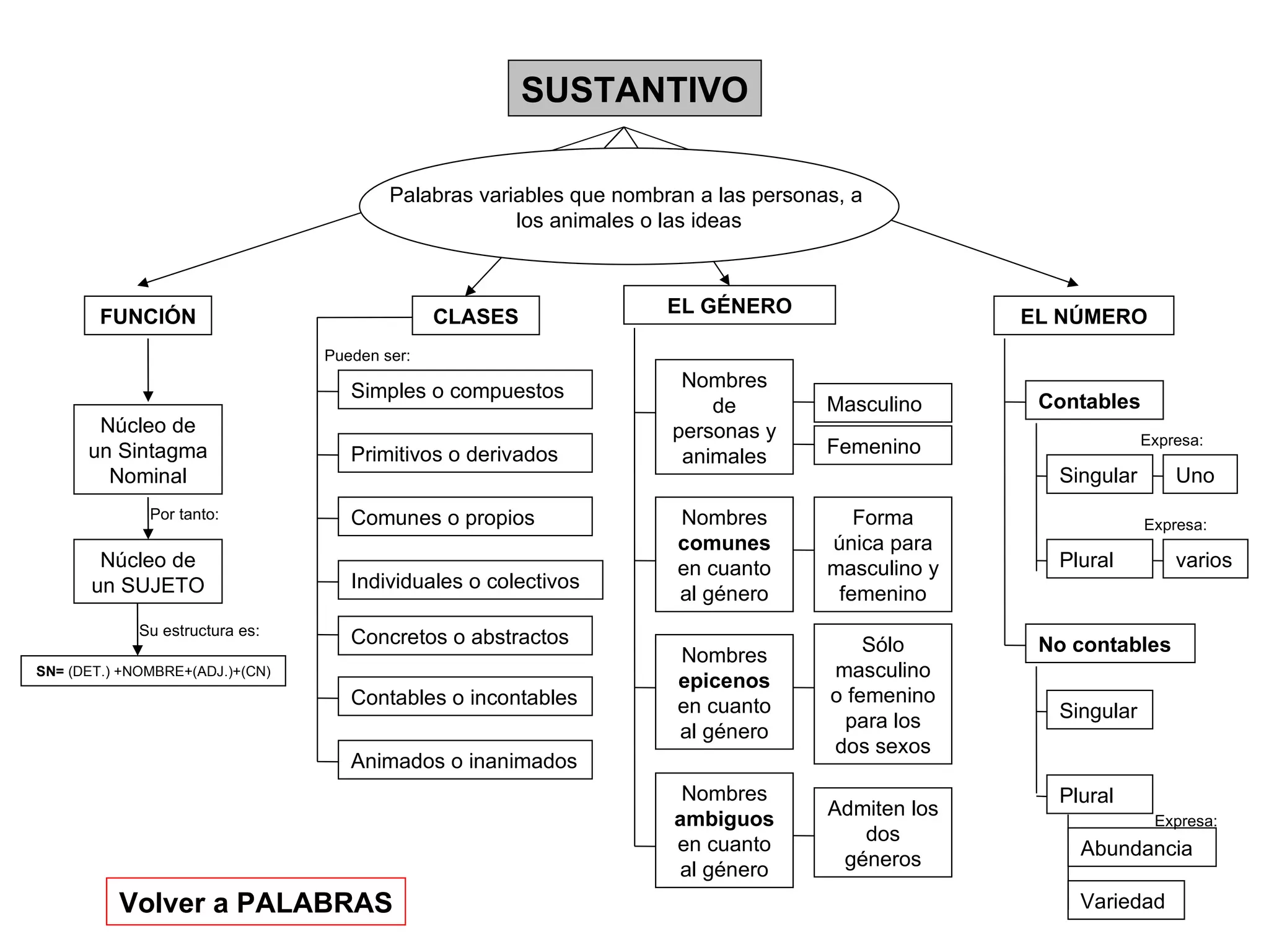SUSTANTIVO FUNCIÓN CLASES EL GÉNERO EL NÚMERO Palabras variables que nombran a las personas, a  los animales o las ideas Núcleo de un Sintagma Nominal Núcleo de un SUJETO Por tanto: Simples o compuestos Primitivos o derivados Comunes o propios Individuales o colectivos Concretos o abstractos Contables o incontables Animados o inanimados Masculino Femenino Nombres de personas y animales Nombres  comunes  en cuanto al género Forma única para masculino y femenino Nombres  epicenos  en cuanto al género Nombres  ambiguos  en cuanto al género Sólo masculino o femenino para los dos sexos Admiten los dos géneros Contables No contables Pueden ser: Singular Plural Singular Plural Abundancia Variedad Expresa: Uno varios Expresa: Expresa: Volver a PALABRAS SN=  (DET.) +NOMBRE+(ADJ.)+(CN) Su estructura es: 