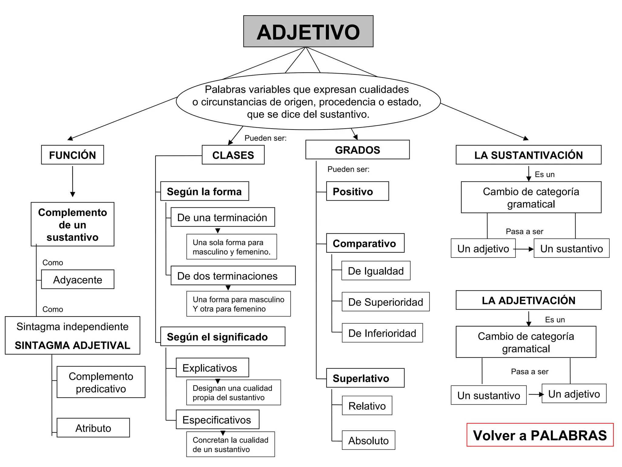 ADJETIVO FUNCIÓN CLASES GRADOS LA SUSTANTIVACIÓN Palabras variables que expresan cualidades  o circunstancias de origen, procedencia o estado,  que se dice del sustantivo. Complemento de un sustantivo Adyacente Como De una terminación De dos terminaciones Explicativos Especificativos Pueden ser: Cambio de categoría gramatical Sintagma independiente SINTAGMA ADJETIVAL Como Complemento predicativo Atributo Según la forma Según el significado Pueden ser: Una sola forma para  masculino y femenino. Una forma para masculino Y otra para femenino Positivo Comparativo Superlativo Designan una cualidad  propia del sustantivo Concretan la cualidad de un sustantivo De Igualdad De Superioridad De Inferioridad Relativo Absoluto LA ADJETIVACIÓN Es un Un adjetivo Un sustantivo Pasa a ser Un adjetivo Un sustantivo Pasa a ser Cambio de categoría gramatical Es un Volver a PALABRAS 