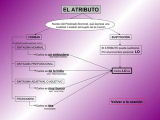 EL ATRIBUTO

                                          Núcleo del Predicado Nominal, que expresa una
                                            cualidad o estado del sujeto de la oración


                FORMAS                                                                    SUSTITUCIÓN

El atributo puede aparecer como:

    SINTAGMA NOMINAL                                                            El ATRIBUTO puede sustituirse
                                                                                Por el pronombre personal   LO
                         Carlos es un embustero
                                       SINTAGMA NOMINAL



    SINTAGMA PREPOSICIONAL

                         Carlos es de la India                                             Carlos LO es
                                     SINT. PREPOSICIONAL



    SINTAGMA ADJETIVAL O ADJETIVO

                         Carlos es muy bueno
                                       SINT. ADJETIVAL



    PRONOMBRE
                                                                                          Volver a la oración
                         Carlos es ése
                                   PRONOMBRE
 