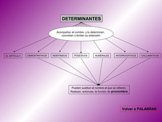 DETERMINANTES

                                Acompañan al nombre, y lo determinan,
                                   concretan o limitan su extensión




EL ARTÍCULO   DEMOSTRATIVOS   INDEFINIDOS      POSESIVOS        NUMERALES        INTERROGATIVOS   EXCLAMATIVOS




                                             Pueden sustituir al nombre al que se refieren.
                                            Realizan, entonces, la función de pronombre




                                                                                      Volver a PALABRAS
 