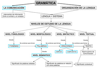 GRAMÁTICA LA COMUNICACIÓN ORGANIZACIÓN DE LA LENGUA NIVELES DE ESTUDIO DE LA LENGUA NIVEL FONOLÓGICO NIVEL MORFOLÓGICO NIV...