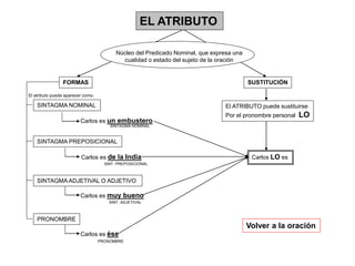 EL ATRIBUTO
Núcleo del Predicado Nominal, que expresa una
cualidad o estado del sujeto de la oración
FORMAS SUSTITUCIÓN
Volver a la oración
SINTAGMA NOMINAL
SINTAGMA PREPOSICIONAL
SINTAGMA ADJETIVAL O ADJETIVO
PRONOMBRE
El atributo puede aparecer como:
Carlos es un embustero
SINTAGMA NOMINAL
Carlos es de la India
PRONOMBRE
Carlos es muy bueno
Carlos es ése
SINT. ADJETIVAL
SINT. PREPOSICIONAL
El ATRIBUTO puede sustituirse
Por el pronombre personal LO
Carlos LO es
 
