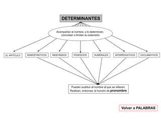 DETERMINANTES
EL ARTÍCULO DEMOSTRATIVOS INDEFINIDOS POSESIVOS NUMERALES INTERROGATIVOS EXCLAMATIVOS
Acompañan al nombre, y lo determinan,
concretan o limitan su extensión
Volver a PALABRAS
Pueden sustituir al nombre al que se refieren.
Realizan, entonces, la función de pronombre
 