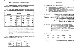 56
§ 26. - IMPERFECTO E IMPERATIVO QAL
1. - El imperfecto del verbo activo es de la forma *yaq~ul (a, en
sílaba cerrada, ~ i; u, en sílaba acentuada, ~ 6): "top~ «él matará».
2. - El ipf. Qal s~ conjuga añadiendo al tema verbal, "top (inf.
cons., § 29), preformatIvas (o preformantes) y algunas aformativas:
,
persona
singular plural
"top~
, 3a mase. ~ ~"tpp~
,
"topt:1 M 3a fem. it~ il~7t5pt:1 M
T
"topt:1 M 2a mase. ~ ~"tppt:1 M
,~tppt:1 M 2a fem. it~ il~7t5pt:1 M
T
"toptt ~ la como "top~ ~
A las aformantes terminadas en vocal se les añade alguna vez un 1llamado
paragógico (= «añadido», aunque pertenece a las formas primitivas): 1~'1?!t/r,
«guardaréis» .
Las aformantes que empiezan por vocal atraen el acento.
La vocal 6 « *u breve) se elide en sílaba abierta, se mantiene en pausa:
~"tpi? ,~toi?~.
3. - El imperativo Qal es idéntico a las segundas personas del
imperfecto sin la preformante t:1 (tpp ~ tpP):
persona
singular plural
il7tpj? "top 2a
mase. ~"epp
(enfático)
',epp Tfem. il~~tOi?
1)
57
Ejercicios
Conjugar el ipf. Qal de "tli~ (<<dominar»):
- T
a) añadiendo primero a su tema de ipf. ("flj~) las preformantes
y aformantes destacadas en la Tabla (cf. 2);
b) colocando luego un acento sobre la sílaba tónica (cf. 2 nota);
c) teniendo en cuenta finalmente los cambios vocálicos que pro-
duce el desplazamiento del acento (cf. 2 nota).
2) Traducir:
qVardín)
:"?NM Wj-r~ ,,~~ cA:n~iJ-ntt C'0',,~ ilJil; il1:;;
:l~~ 17~-ntt 't:1~~~ c'r6~iJ-"tt C"~iJ ,~~
:ilj'iJ n~ij~ljj-,,~~ iltj~ ,~,~ 't'lNT (28
m s pf l"1~~) ~'J~ll '~
('~,~ maldito)
:','IJ~ ~i"~~ ~~~ 1~~~~ tj'~~ ~'?,9iJ iltj~
:'W~ ~":;>~1 C?'Ij~r"~ (ipv. de ,,~~) ~~t;> C:?"tji"~
:to~~~~~ p,~~ '~~-ntt toS~t:l iltj~
3) Traducir: Los señores enviaron por ("al") agua a sus siervos.
Vuestras hijas recordarán por siempre mi lugar santo.
En el tiempo convenido visitará ella a los hermanos de
su padre, que residen en la montaña de Judá.
El Señor me guardará de q~) la muerte, porque anduve
en sus caminos.
Recordad el pacto que «corté» con vosotros.
4) Vocabulario:
iln~tli~
T T I '
n~tv
- T
~ Job 7,7:
a-ver
 
