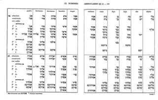 1111
sg. absoluto
constructo
con sufijo
persona sg.
la c.
padre
'~M
• T
hermano
MM
T
'MM
• T
3a
m.
'9'~2!t
1';2!t
~iI'~M "~M ~iI'nM
• T '. T • T
'9'~2!t
1'f}2!t
"MM
f.
persona pI.
la c.
2a
m.
f.
3a
m.
f.
pI. absoluto
constructo
con sufijo
persona sg.
la c.
2a
m.
f.
3a
m.
f.
persona pI.
iI'5M
T • T
C~'~M
... ._,
l~';~
CiI'~M
',0 . _ .
lry';~
ni~M
T
'n~M
'9'~~~
c~'n~M
°
0" •• - .
cn~Ml
T -,
iI'~N
T • T
CiI'MM
... .-,
(p.',,~) 'lJtt
'9'Ott
1~r:1tt
"MM
iI'~M
TOo
" -
~~'6tt
C~'MM
°
0" •• - .
CiI'MM
°
0" .. - .
1 Más frecuente que I:lv'tI~~. * Formas supuestas.
hermana
niMM
T
niMM
-.
'nhM
-.
'9t:'1iM~
1tjiM~
inhM
-.
MnhM
T -,
cnhM
T -.
ni'MM*
T -,
ni'MM*
.-
'ni'MM
- :-
< •
1~tj'Mtt
,'n;MM
T : -
c~'ninM
°
0° •• 1-'
CiI'n;MM
..... -.
III. NOMBRES
hombre
1W.'~
itti'~
Mtti'M
T •
'tti~M
.. : -
'tti~M
'9'~~~
,'tti~M
iI,6;;N
TOo" T-'
CiI'tti~M
... ..:-
lry'tP.~tt
mujer
iltUM
nti;~
°
0" ••
'MttiM
...
'9t;1~~
iMttiM
: .
c'tti~
• T
,tti~
'9'~~
~~'tD~
•• T
c~,tti~
..... :
CiI'tti~
..... :
IRREGULARES (§§ 15 - 18)
esclava
ilOM
T T
nOM
--.
'nOM
• T -,
'9t:'1~~
inOM
T -.
MnOM
T T -1
nii10M
T -.
nii10M
: -
'nhOM
- ,-
casa
't:'l'~
'9t:'1'~
1tj'~
in'~
Mn'::l
T ••
cn'::l
T ••
C'M::l
·IT
'M::l
•• IT
'9'~~
1~~~
Ci1'M::l
... •• ¡T
lry'~~
hijo
'~::l
• I
'9~~
1~~
i~::l
I
C'~::l
• T
'~::l
...
'~::l
-T
'9'~~
1~~~
"~::l
TT
i1'5::l
T ... T
Ci1'~::l
°
0" •• ,
lry'~~
hija
'~~
'9t;1~
iM~
MM::l
T •
C~M::l
°0" :
ni~::l
T
ni~::l
:
'n~::l
'9'e~~
1~t1~~
,'n~::l
T I
<•
i1'n~::l
T ... 1
~~'n~::l
.. :
c~'n~::l
°
0" •• I
Ci1'n~::l
": •• I
día
'O'
- T
'9'~~
'9~~~
"0'
T T
i1'O'
TOo
" T
Ci1'O'
°0" •• :
objeto
'~:p'
'9'7:P.
"c,:>
i1'~;
TOo" ••
~~'7:p'
c~,c,:>
CM'S;
°0" • • • •
(cont.)
 