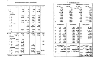 NOMBRES IRREGULARES (continuación)
sg. abs.
esto
con sufijo
persona sg.
la C.
2a
m.
f.
3a
m.
f.
persona pI.
la C.
2a
m.
3a
m.
f.
agua
pI. abs.
esto
C~~
"~"~, "~
con sufijo
persona sg.
la C. "~"~
2
a
m. 1"~"~
f.
3
a
m. '''~''~
f. i1"~"~
T ... ,.
persona pI.
la C. ~~,,~,,~
2a
m.
ciudad
",lJ
l"j~
~~jl}
''''1'
• T T
i1""1'
T '0' T
3a
m. Ci1"~"~ Cn",l'
'o' ,. •• ... .. T
f.
boca
i1~
'0'
~~,,~
C~,,~
'0' •
Ci1"~
.,' .
li)"~
1 ni!!~
cabeza nombre
tVN' CW,
tVN' -cry,CW,
"~N'
l~N'
~W,N'
itVN'
rltVN'
T
~~$.N'
C~tVN'
',0 :
'''tVN'
T T
i1"WN'
TOo' T
Cn"tDN'
°0' •• T
"~tV
. :
1~~
~~~
i~~
rl~tV
T :
~~~~
C~~tV
.,' : .
C~tV
T :
ni~w,
ni~tV
:
cniotD
T :
ltlioV;
cielo
c"r3tV
• - T
< •
l"~tg
C~"OtD
..... :
1
2
3
4
5
6
7
8
9
10
11
12
13
14
15
16
17
18
19
100
200
300
400
etc.
IV. NUMERALES (§ 21)
con nombres masculinos con nombres femeninos
esto abs. esto cst. esto abs. esto cst.
,nN
TOo'
c"jtV
i1tzJSrl.;
'Ij~
"~tV
en p. n,,~ nlj~
C"MtV
nlj~
"MtV
T :
nw~n
T • -1
i1WtV
T •
i1lJ:ltV
T :
i1~btV
T :
i1l;~t:l
i1'WlJ
T T -1
con masculino
'WlJ "~tV
,~~ i1tVSrl.;
T T T :
'WlJ i1lJ:l'N
TT T T : -
'WlJ i1w~n
T T T • -1
'WlJ i1WtV
T T T •
'WlJ i1l':ltV
T T T :
'WlJ i1~btV
T T T :
'WlJ i1lJtVM
T T T :
ambos géneros
ntV~rl.;
,... :
nlJ~'N
- - I -
ntVt5n
n~~
°
0' . .
nlJ:ltV
- : .
n~btV
- :
nlJtVM
n,tD~
'0' ',0 -1
con femenino
i1'WlJ
•• : °
0'
i1'WlJ
., : ...
i1'WlJ
•• : °0
,
i1'WlJ
•• : ',0
nlj~
"MtVlJ
.. : -
C"MtV
.. I
"MtV
tVSrl.;
:
lJ~'N
- : -
tV~lJ
i1j~~ tVW,
i1'WlJ l':ltV
•• : ',0 - :
i1'WlJ i1~btV
•• : .,' '0':
i1'Wl' l'tDM
.. : '0' - I
(cst. nN~) i1N~ 1000
- : T ••
c"riN~ 2000
niNO.~,,~ 3000
.. :
niNO l'~'N 4000
.. - : -
etc.
~Srl.;
T
tV~"
tVW,
lJ:ltV
- ',0
i1~btV
',0 :
lJWtl
'W~
'0' '0'
20
30
40
50
60
70
80
90
tVSrl.;
:
tV~n
.. -.
tVW,
(lJ:ltV) lJ:ltV
- : - '0'
i1~btV
(lJtVM) ~tV~
- : - ..
'W~
0.' .,.
ambos géneros
C"'WlJ
c"~~~
· :
C"U¡~lJ
c"U¡~
C"l':ltV
· : .
C"lJtVM
· : .
ambos géneros
10000 C"~"N n'WlJ
• T -1 '0"" -1
i~':1, Ni~':1, n;;7I
20000 ~7~ C"':1~~
ni~' "MtV
30000 ~7~ C',,~S~
etc. ni~' tV"tV
100000 ~7~ (n~~) i12$~
 