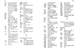 54*
'0'
- T
';0;
,Q~
rlt~
:l~~~
i1~'
T T
p~~
,~,
- T
ri?~
N"
00 T
",
- T
fundó; Pi 'ti)~ estableció
fundamento, cimiento
añadió, aumentó, volvió
a (+ " e inf '~:t ,c;;h
,~~ y volvió a hablar-
me); Hi ipf q)1~~M
volveréi~ a; coh i1~~N;
narr 1~~;~1
aconsejó
Jacob
es hermoso
hermoso; f i1~~
salió; ipf N~:'; ptc
N~(i)"; inf c nN~; Hi
N'~;i1 sacó, liberó,
<
desterró; ipu pl 1N'~;i1
haced salir; narr suf
'~~~i~l (98)
vertió, derramó; ipfP~~
formó; narr '~(')~1
(se) despertó; narro
ri?~l
temió; ipf N,'~, N,'~
(98)
descendió, cayó; ipf'J~
inf (+ ,,) n:I'~7; Hi pf
CIj":'lj;i1 haréis bajar inf
(+0 ~) "':'l;i1~; ipu suf
1i1~':'l;i1 hacedlo bajar
lanzó, disparó
Hi i1,ii1 enseñó; ipf
i'I,i'
(la) luna
Co~~1';
<
1i'1'~"
T: : •
w"
- T
Jerusalén
Jeremías
poseyó, heredó, usurpó
(21*)
,,~,~~ Israel
W:., -W~ hay; C~7-W~iJ ¿hay pa-
ra vosotros (= tenéis)?
sentóse, habitó, perma-
neció (21*); narr :ltq~l
'W~ Jesé
'''Nl'~W' ismaelita
.. : : .
ltQ~ (se) durmió; ipf lW'~;
narr 1~'~1; ptcoltQ~
<
l'W' Hi pf ~'W;i'I auxílió,
...
l'W~
1i'1'l'W'
T: - 1
'W~
'W'
T T
,
salvó, libró
auxílio, salvación
Isaías
fue (ser, ir) recto
recto
Ni 'tl;~ quedó (abando-
nado), restó, sobrevivió;
narr 'tJ~~l
'I)~ abundancia, resto, resi-
duo
=i' (::? f ~ ~) pref como, según
(26.49)
i~~ grave, impedido, insigne
i~~ es pesado, glorioso
(10*); Pi i~:;?; honrará;
Hit i~~t:l0 jactóse de
o~::;)
fl.'~~
.......
i1~
lij~
~::>i::;)
T
l~::;)
oi::;)
tzj~::;)
Ij:b
,~
~"i
......
i1"::;)
T T
,,,::;)
o :
li'7~
l~,-l~
=,~~
,i~~
l~~~
Nt¡;)~
i10::>
=jQ~
01'::;)
- T
noble(limportante)
gloria, riqueza
Pi O;l~, lavó (O~~I)
cordero; pl C'~~~; f
i1fl.'~::;)
T • o
así, ahí, ahora
sacerdote; pl C'~iJ~
estrella; pl C'~~i::;)
formar, hacer; P6lel
pi::;) formó, estableció,
2 m i1M~3i::;)
T :IT
copa; pl nio~; suf io:,
Cus
fuerza
que, porque, en verdad,
si (condic.), cuando; '~
C~ sino (que)
medir; pf ,,::;)
T
totalidad, todo; e ,,~
-,,::;). suf e"::;)
T ' T ...
perro; pl C'~~~
terminóse; Pi i1"::;) ter-
T •
minó, destruyó
objeto (7*)
Kilión
así, esto; l~~ por esto
ala, extremo; e =,~~
cítara; pl ni,~~
Canaán
trono, solio
Pi pf i1~~ ocultó
plata, dinero, moneda
disgustóse
55*
=,~ mano, palma
,,~~ doble, doblado
,~::> Pi pf ,~~ limpió, expió
~~,~ querubín; pl C'~~,~
C,~ viña; suf '~,~
nj~ cortó, (n')~ -) pactó
"tzj::;) vaciló, debilitóse
- T
~n::;) escribió, inscribió
- T
~~n::;) escrito (5*)
T
n~M::;) túnica; pl ni~n::;), ni~M::;)
... ... : T TI ...
sufiM~r,f
" (~ ~ ~ ~) pref a, de, para, por,
ante (26.49); (X)7 i1~V
X tenía; (X)" cfl.'mfl.'l'
T T T
transformó en X
N", Ni" no
i1N" Lía
T ••
~~ corazón; suf ,~~; pi
ni~~; sufCt:li~~
corazón; e ~~7
separado, solo; suf'~~7
yo solo, i'~7 él solo
l~~ blanco; Labán
tzj~~ vistióse; ipf tzj~7~; Hi
narr y suf CtP.~7!1 y los
vistió
tQjj7
Ni"
Ij~"
tQi"
llama
cf. N·"
tabla; pl nin~", e nM"
...
Lot
 