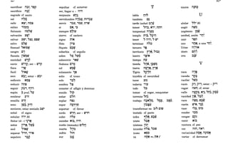 OV···
sacrificar n:lT, ,top
<.
sacrificio n:lT
- '0'
sagrado cf. santo
sal n~6
- °
0'
salir N~" n~~
salmo ,i~T~
: .
Salomón ilb"~tll
:
<
salvación l'~~
salvar l'tll', ~~~, to~tll
salvo e~tll
•• T
Samuel ~N~~tll
.. :
sangre e,
Sansón litll~~
santidad tll,¡:;
santo tlli'i?; ser - tll,P
Sara "to
- T
Saúl ~~Ntll
seco
sediento
seducir
seguir
según
sembrar
T
tll:l" estar - tll:l'
.. T'
N~~
.. T
iln~
P:l,,='"
:p pref, ~l)
l"T
<-
semilla l"T
- '0'
seno lrp~, P'1j
sentarse, estar sentado :ltll'
señal cf. signo
señalar il" Hi
Señor (el -) '~"N
señor li'~: ~~$
seol ~iNtll
:
separar ~,n, ,,~
<.
sepulcro ';p
sepultar cf. enterrar
ser, llegar a - il'il
serpiente tllO~
servidumbre il.,~~, n~'~l)
servir ,:ll', '~l', n'tll
si e~, '~
siempre e7il'
siervo cf. esclavo
signo niN
Sión li!t~
Siquén e~tll
'/ :
soberbia cf. orgullo
sobre ~l), ~l)~
sobrevivir 'Ntll
Sodoma e.,o
:
• <.
sol UmtD
'0' ...
solamente 1~
solio
solo
cf. trono
':l~
- :
sombra ~~
someter cf. afligir y dominar
sonido ~ip
soñar e~n
soplar
sopor
n~~
il~"M
T o. : -
soportar cf. llevar
sordo tlljlj; ser - tll,n
subir il~l'
suceder N':l, il'il
sueño (ensueño) ei~il
suerte ~'i~ -.
T
sufrir ~,n
sur :l~5
...••.
tabla Ij~"
también eª
T
<
tarde (subst) :l,l'
'1 ','
temer ~il:l, N", nnn
tempestad il"~Q
templo n~~, ~=?'ij
tener ~ il'il' ~ tll'
,
terminar il~~
ternero 'C
territorio r,~, ~~:l~
tesoro ,~iN
T
tiempo n~
tienda ~ryN, l~trf~<
tierra il~.,~, r,~
Tigris ~p,1}
tiniebla cf. oscuridad
tocar l'~~
todavía ,il'
todo ~~
tomar cf. coger, conquistar
torrente ~Ij~
trabajo il=?N7~, ~~~,
li:l~~
transformar en ~¡, e,to
tratado
tribu
triste
cf. pacto
=,~~,to;i,;
~:lN
•• T
tristeza li~~
triunfar n~~, ~~to
trono NQ~
tú
túnica
u
ulular ~~, Hi
ungir ntll~
<
ungüento 1~t!i
"
unidad, unión 'Ij~
unir ,~n
<-
uno 'O~; a una 'Ij~
Urías il!t'~N
T'
-<
útero en,
... ','
uva :l~l'
T"
V
vaca il,e
T T
vacada 'i?~
vacilar ~tll~
vacío Pj, P'':1; estar - p"
vagar ill'n; cf. errar
valle il~i?~, N~~, ~ljt p~~
vanidad n~, ~;~
<.
vara il~~,to;W
varón tll'N ':l~
. , .,0 ...
vaso ,~~ oi~
. :'
vender ,~~
vengar ep~
venir N':l
ventura cf. paz
ver ilTM, ilN'
ver(aci)dad n~tS, il~~~tS
verter cf. derramar
 