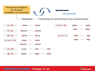 Palatalização Transformação de vários fonemas numa consoante palatal
cl  ch clave- chave
fl  ch flamma- chama
pl  ch pluvia- chuva
n + e / i  nh vinea- vinha
senhor
seniore-
l + e / i  lh palea- palha
folha
folia-
olho
cl  nh oculu- oclo
telha
gl  lh tegula- tegla
d + e / i  j video vejo
hoje
hodie
Processos fonológicos
de alteração
(qualitativa ou posicional)
 