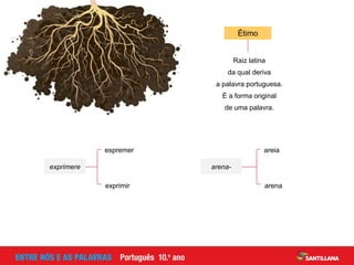 Étimo
Raiz latina
da qual deriva
a palavra portuguesa.
É a forma original
de uma palavra.
espremer
exprimir
exprimere
areia
arena
arena-
 