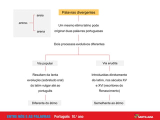Introduzidas diretamente
do latim, nos séculos XV
e XVI (escritores do
Renascimento)
Resultam da lenta
evolução (sobretudo oral)
do latim vulgar até ao
português
areia
arena
arena-
Um mesmo étimo latino pode
originar duas palavras portuguesas
Via erudita
Diferente do étimo Semelhante ao étimo
Via popular
Dois processos evolutivos diferentes
Palavras divergentes
 