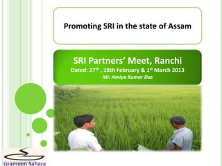 Grameen Sahara
Promoting SRI in the state of Assam
SRI Partners’ Meet, Ranchi
Dated: 27th , 28th February & 1st March 2013
Mr. Amiya Kumar Das
 