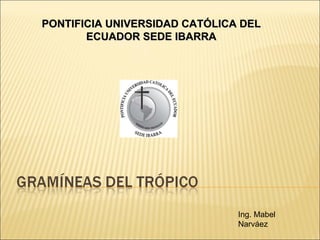 PONTIFICIA UNIVERSIDAD CATÓLICA DEL ECUADOR SEDE IBARRA Ing. Mabel Narváez 