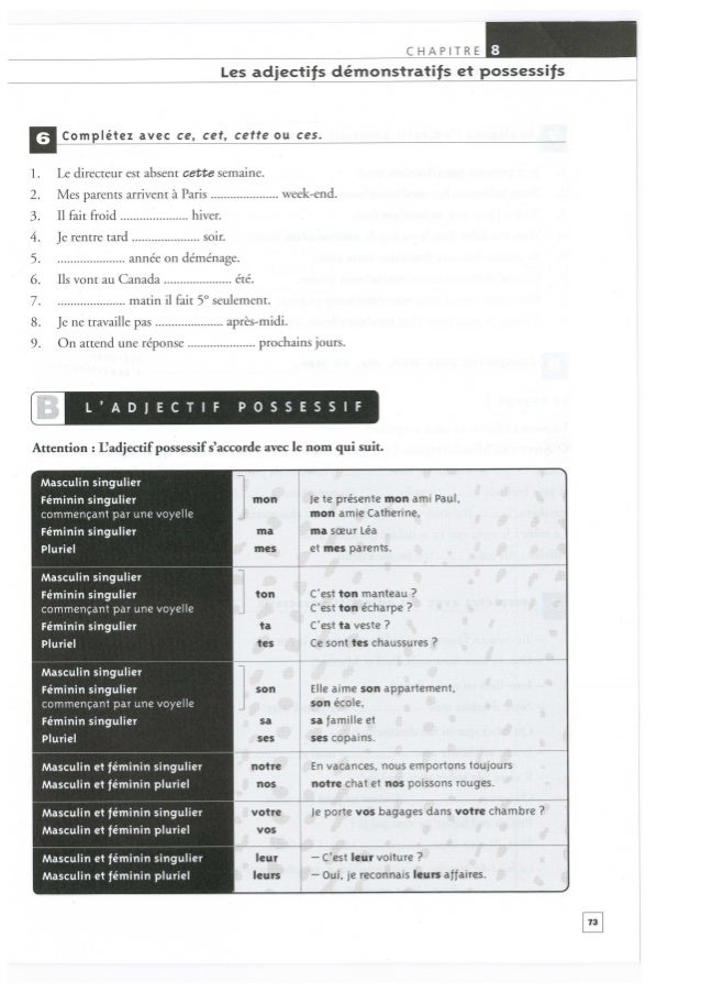 Grammaire Debutants Activites