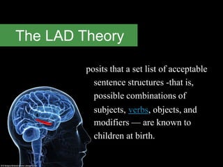 The LAD Theory
posits that a set list of acceptable
sentence structures -that is,
possible combinations of
subjects, verbs, objects, and
modifiers — are known to
children at birth.
 