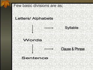 Few basic divisions are as;
 