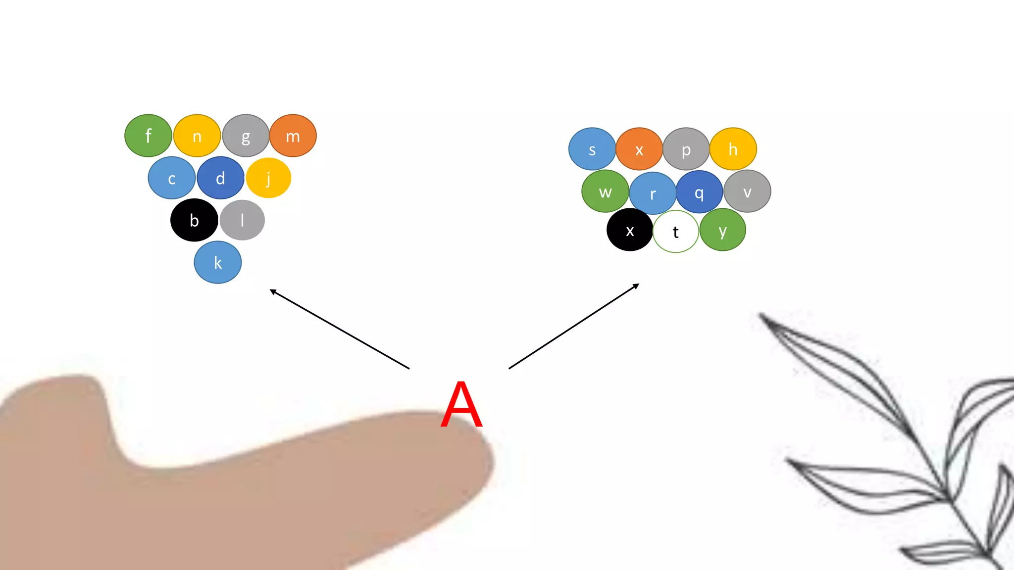 A
f n g
c d j
m
b l
k
s x p h
w q
r v
x t y
 