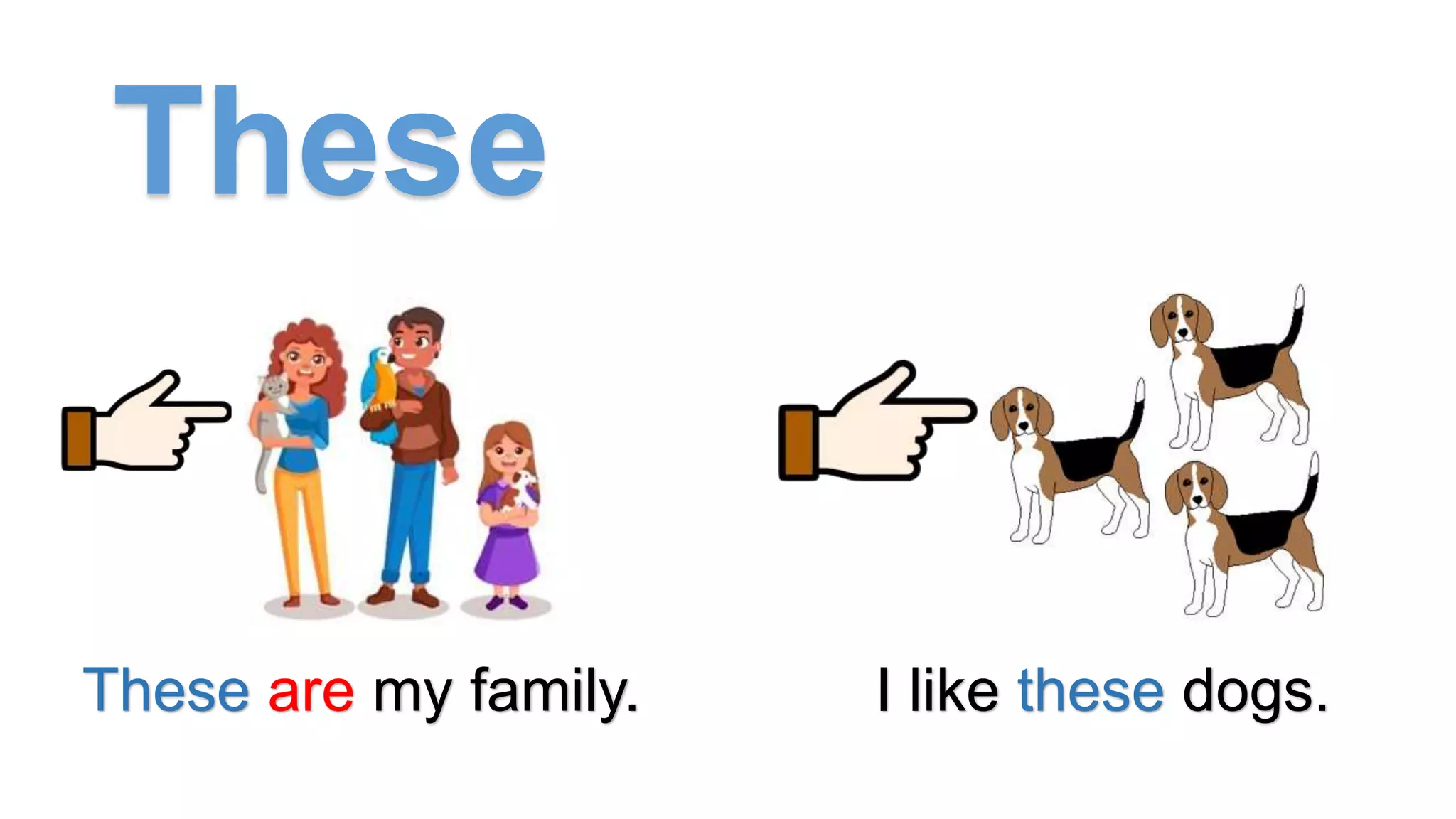 These
These are my family. I like these dogs.
 