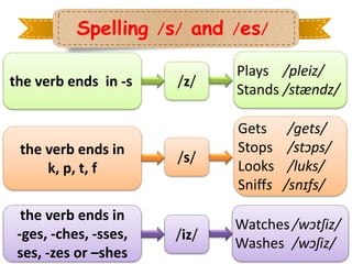 the verb ends in
k, p, t, f
the verb ends in
-ges, -ches, -sses,
ses, -zes or –shes
/z/
/s/
/iz/
Gets /gets/
Stops /stɔps/
Looks /luks/
Sniffs /snɪfs/
Watches /wɔtʃiz/
Washes /wɔʃiz/
Spelling /s/ and /es/
the verb ends in -s
Plays /pleiz/
Stands /stændz/
 