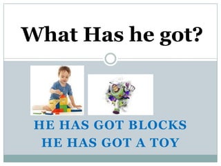 What Has he got?



 HE HAS GOT BLOCKS
  HE HAS GOT A TOY
 