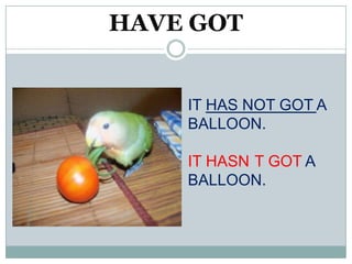 HAVE GOT


    IT HAS NOT GOT A
    BALLOON.

    IT HASN T GOT A
    BALLOON.
 