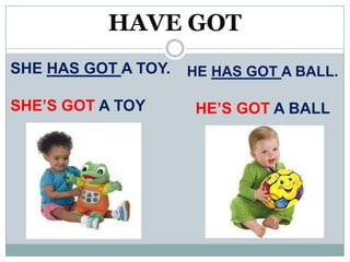 HAVE GOT
SHE HAS GOT A TOY.   HE HAS GOT A BALL.

SHE’S GOT A TOY       HE’S GOT A BALL
 