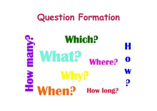 english exercises question formation question  formation  Grammar