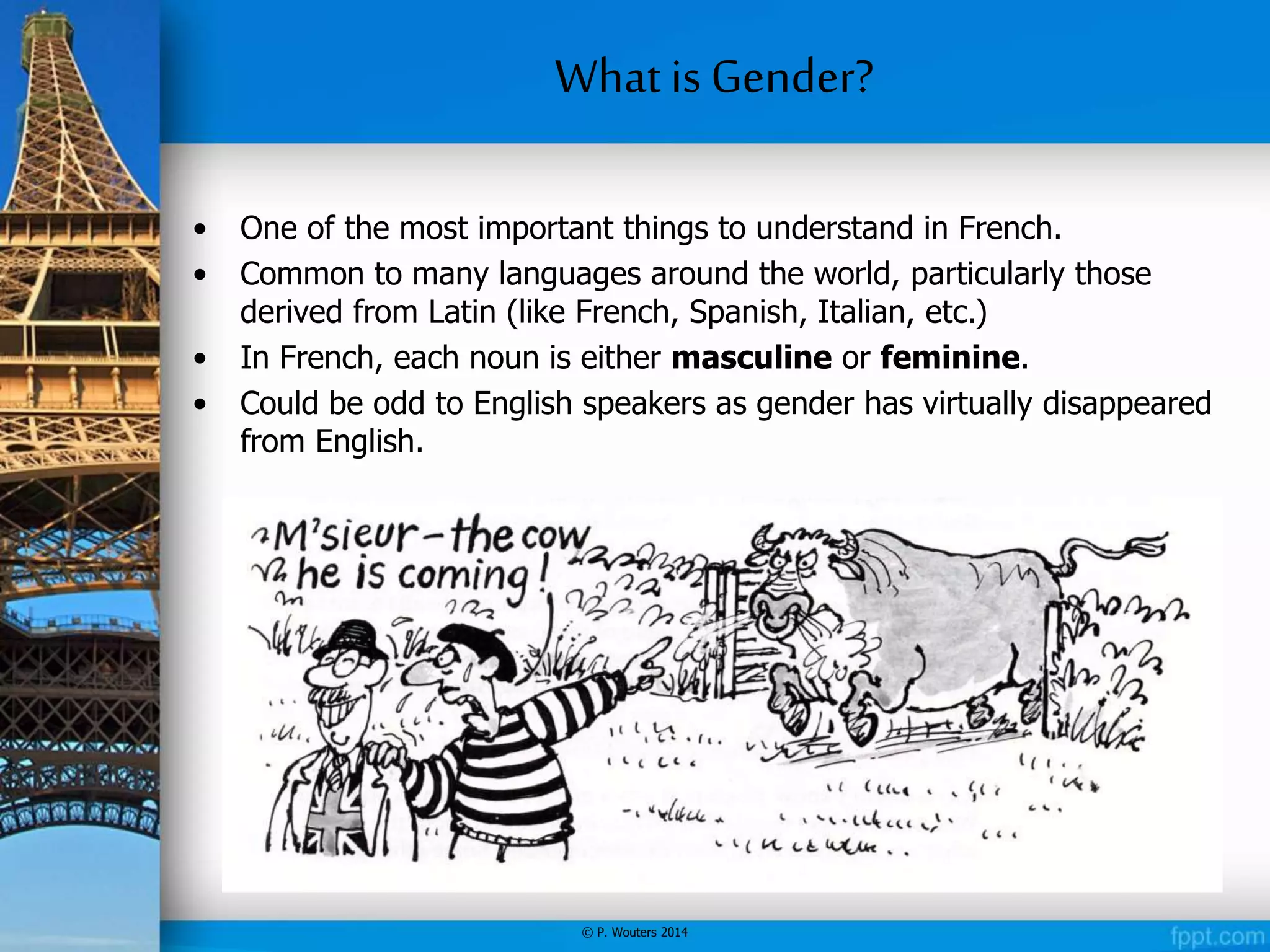 Grammar 1 Introduction to Gender in French PPT
