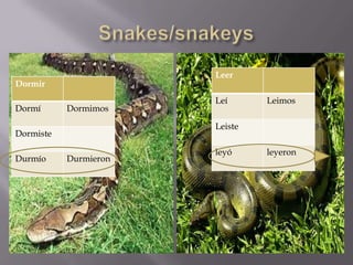 Leer
Dormir
                       Leí      Leimos
Dormí      Dormimos

                       Leiste
Dormiste

                       leyó     leyeron
Durmío     Durmieron
 