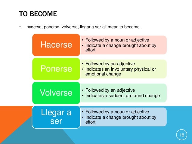 Grammar Book