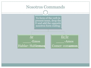 Demonstrative Adjectives + Pronouns