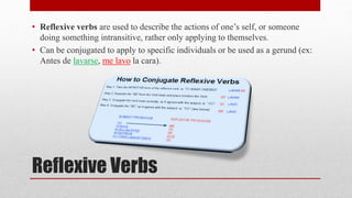 • Reflexive verbs are used to describe the actions of one’s self, or someone 
doing something intransitive, rather only applying to themselves. 
• Can be conjugated to apply to specific individuals or be used as a gerund (ex: 
Antes de lavarse, me lavo la cara). 
Reflexive Verbs 
 