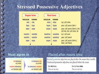 Must agree in
gender and number

http
s://
ww
w.y
out
ube
.c

om
/wa
tch
?v=

m4
qLU

HO
S

NF
s

Stressed Possessive Adjectives

Placed after nouns they
modify

 