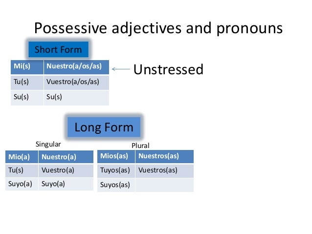 grammar book spanish 3 long form possessive adjectives